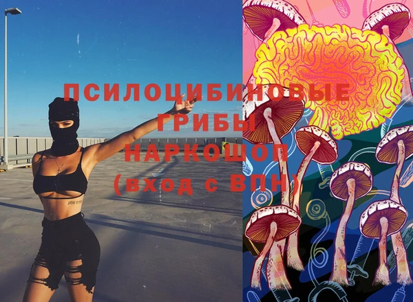 apvp Володарск
